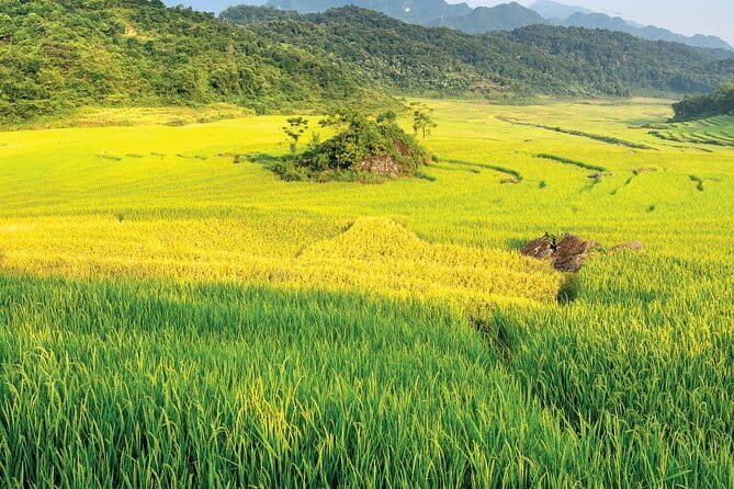 Pu Luong 3-Day Adventure: Trekking, Cycling & Local Cooking Class - Why Pu Luong works as a three-day escape