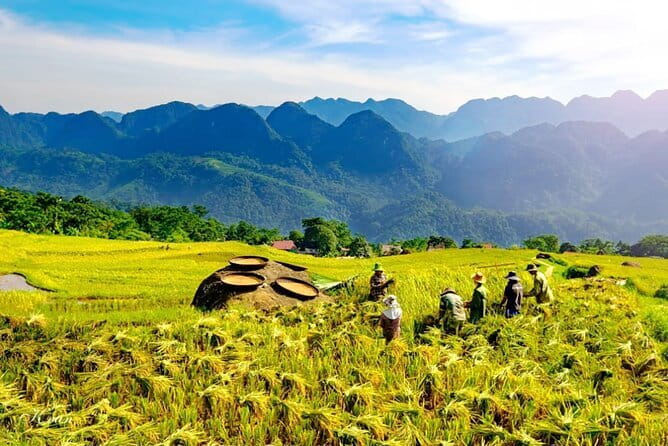 Pu Luong 3-Day Adventure: Trekking, Cycling & Local Cooking Class - Day one: rice paddies, village life, and a comfortable base