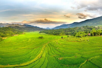 Pu Luong 3-Day Adventure: Trekking, Cycling & Local Cooking Class
