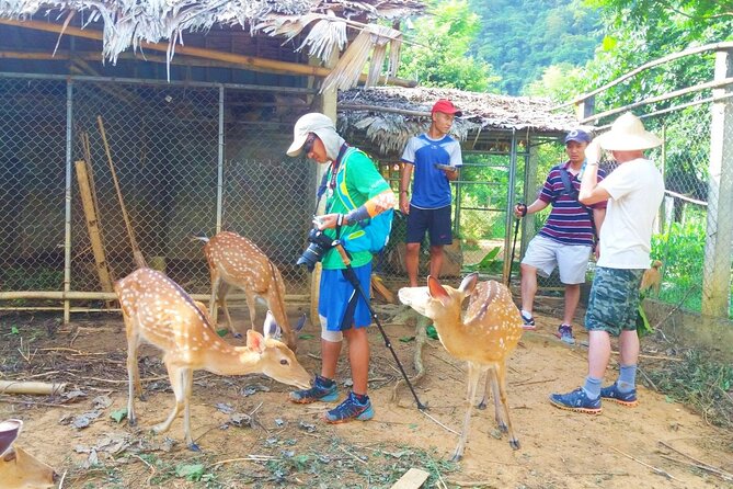 Pu Luong Explorer: 3-Day Trekking & Authentic Village Stay - Why Pu Luong works for a three-day escape