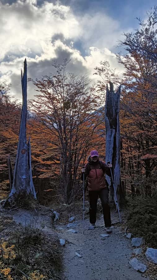 Puerto Natales: Base of the Towers Trekking Experience - El Chileno, the useful halfway break