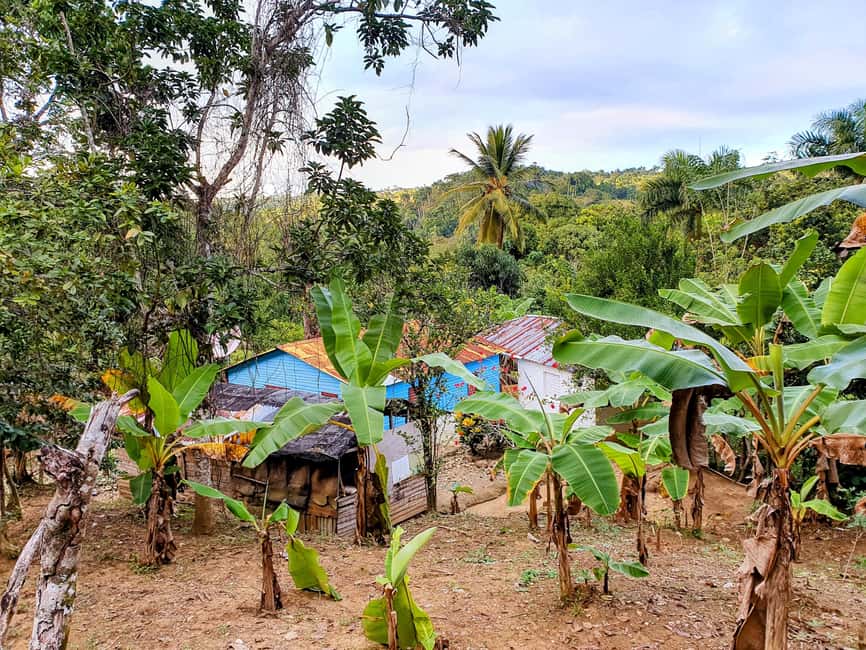 Puerto Plata Trekking - Experience of Nature and Folklore - Along the tropical forest and mountain river