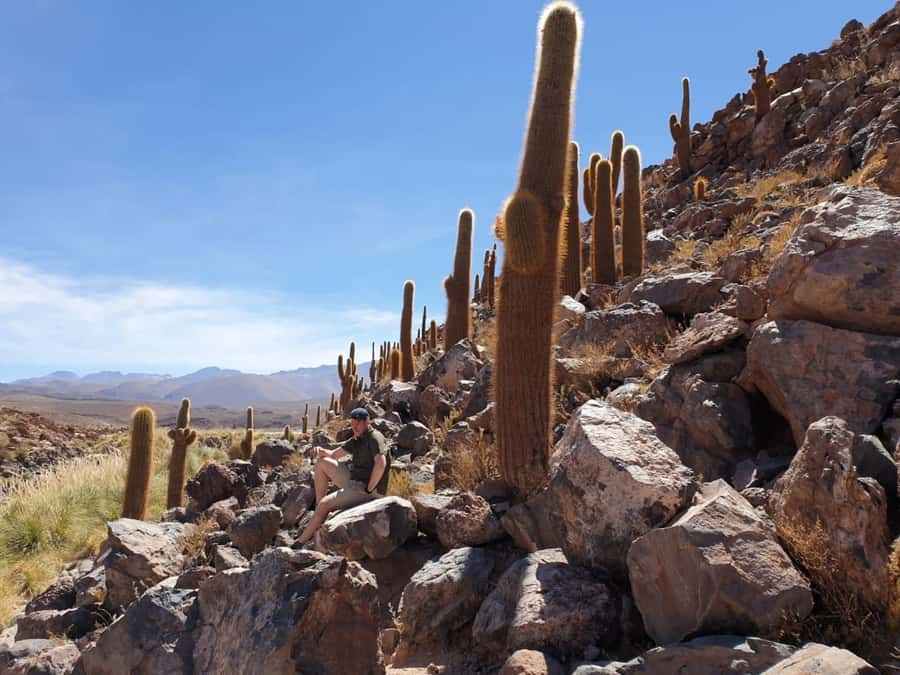 Purilibre Trekking - From San Pedro to a green Andean canyon
