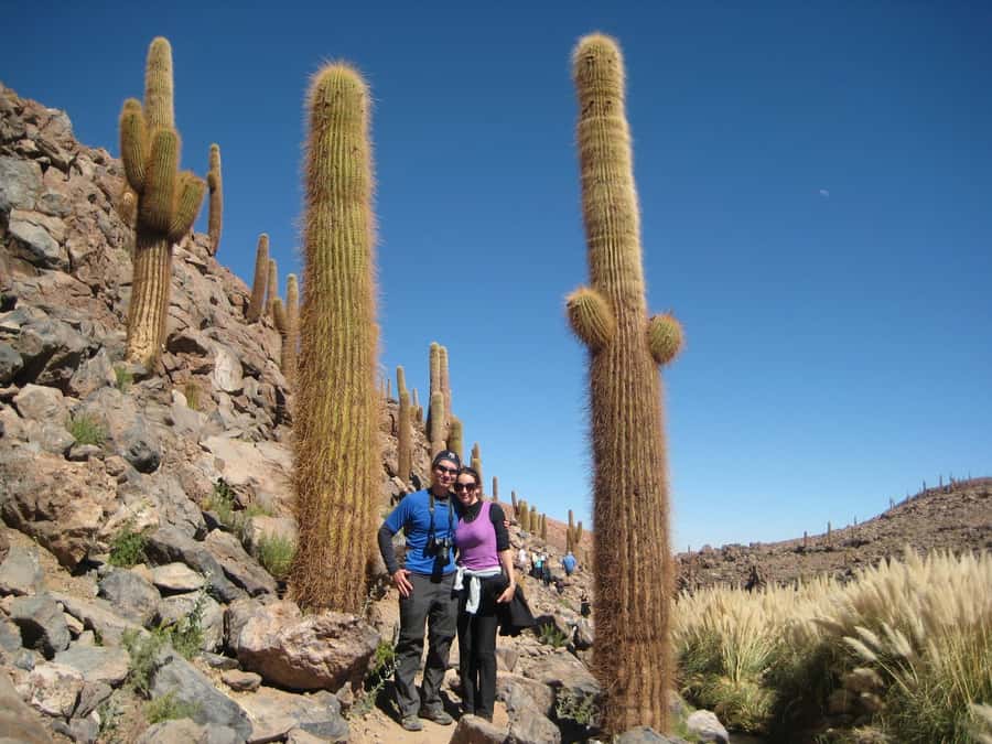 Purilibre Trekking - Walking beside the Puritama River at 3,500 meters