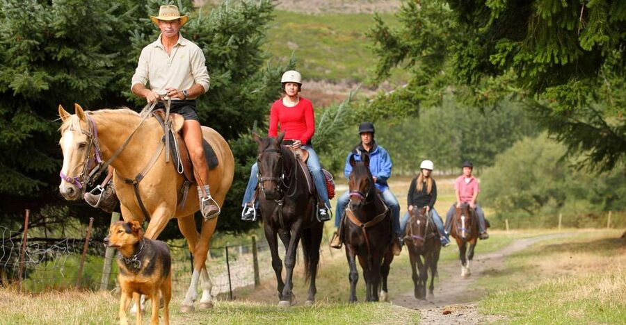 Queenstown: Walter Peak Horse Trek & Queenstown Lake Cruise - Forty-five minutes across rolling farmland