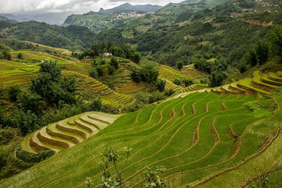 Red Dao Village Trek and Herbal Bath - Fitness, footwear, and practical preparation