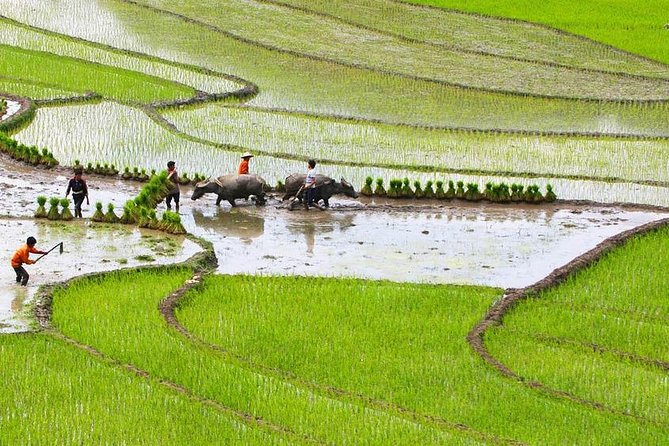 Red Dao Village Trek and Herbal Bath - Leaving Sapa behind on foot