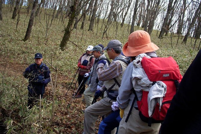 Relax and refresh in Karuizawa Forest! Shinanoji down trekking around two people - Starting at Mine no Chaya above Karuizawa