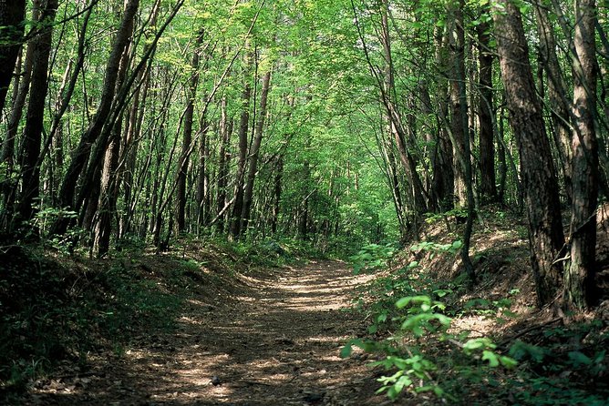 Relax and refresh in Karuizawa Forest! Shinanoji down trekking around two people - Shiraito Falls and its wide white curtain