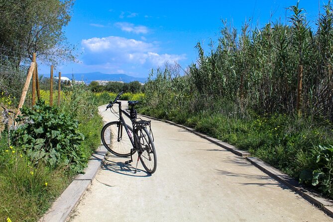 Rent a Trekking bike: Full Day 24 hours - Bikes, helmets, maps, and practical comfort