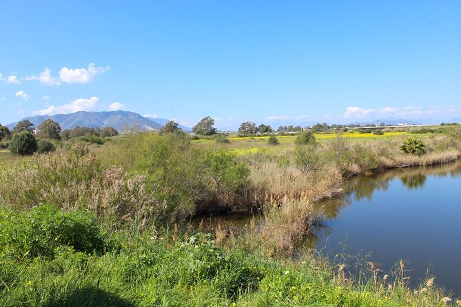 Rent a Trekking bike: Full Day 24 hours - Weather, cancellation, and the one detail to confirm
