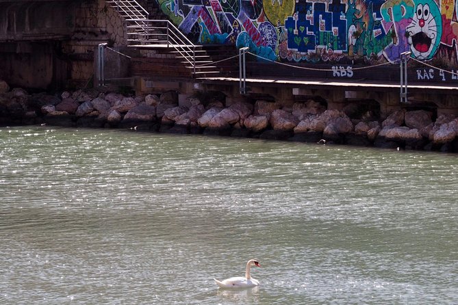 Rent a Trekking bike: Full Day 24 hours - The Guadalhorce estuary and its birdlife