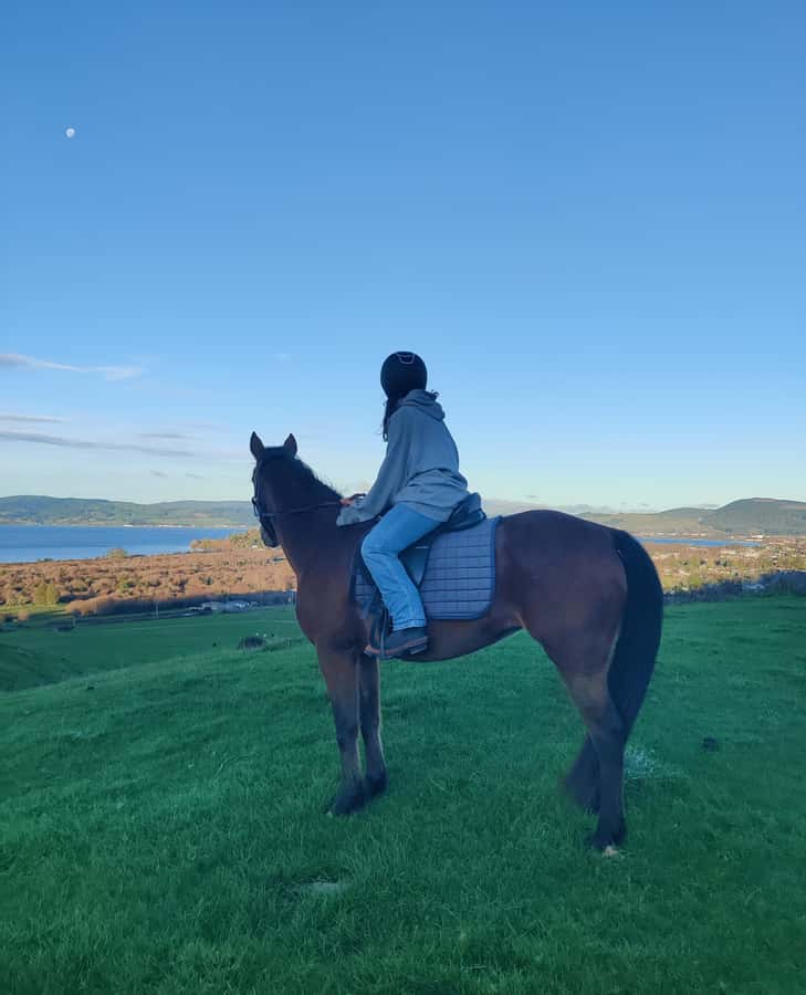 Rotorua: Scenic Horse Trek - Riding above Lake Rotorua