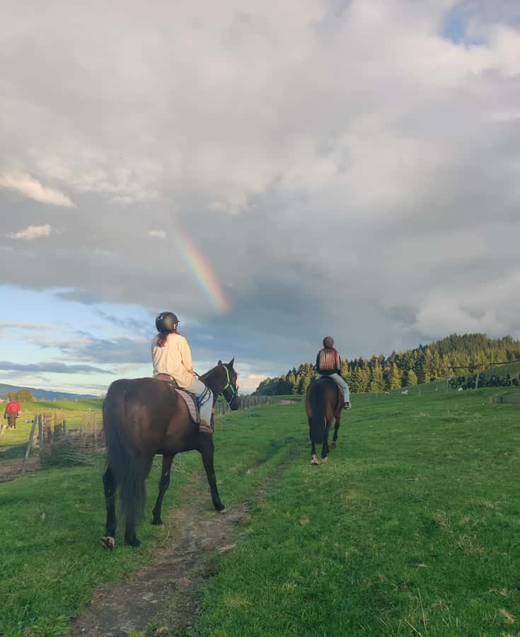 Rotorua: Scenic Horse Trek - Getting comfortable before the trail