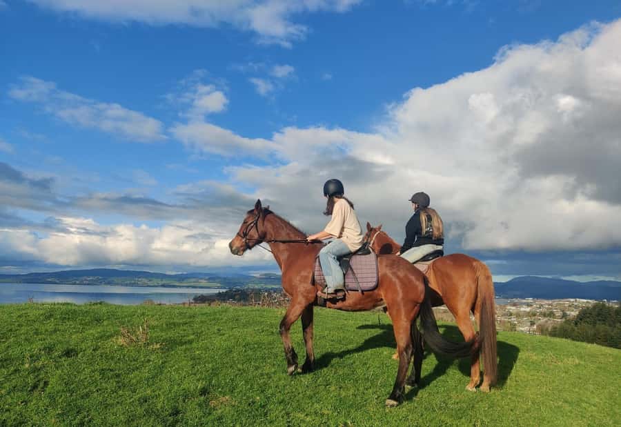 Rotorua: Scenic Horse Trek - The best views come from the open farmland