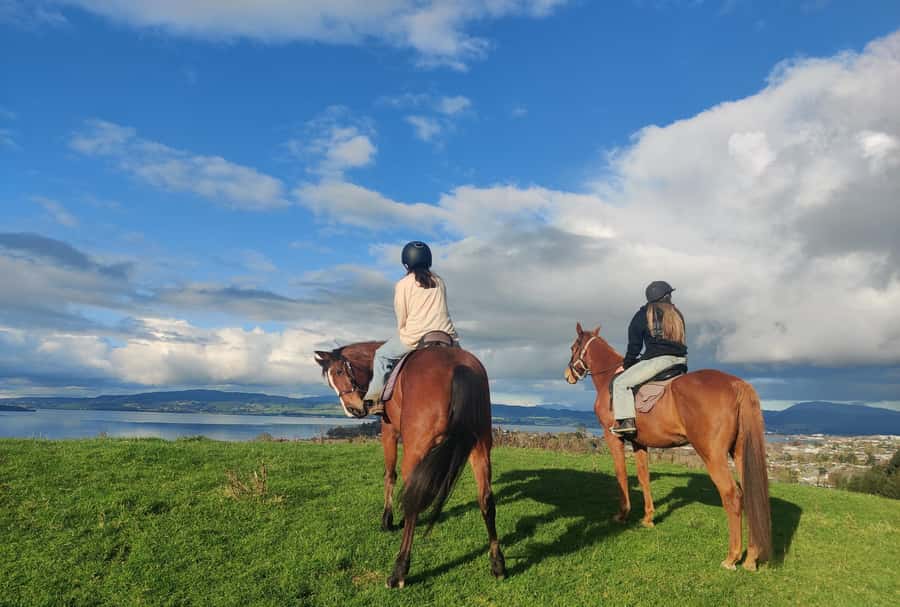 Rotorua: Scenic Horse Trek - What the one-hour route feels like