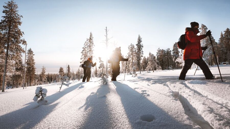 Rovaniemi: Lapland Ski Trekking Safari - The views are the real payoff