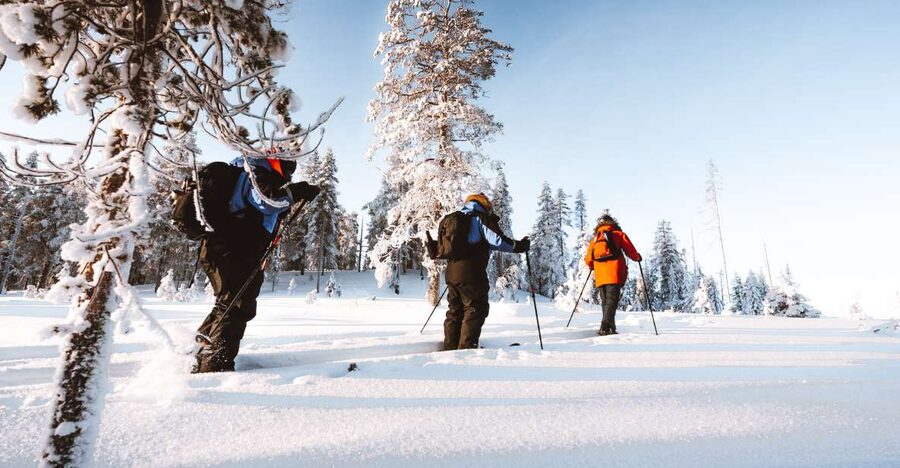 Rovaniemi: Lapland Ski Trekking Safari - How difficult is the skiing?