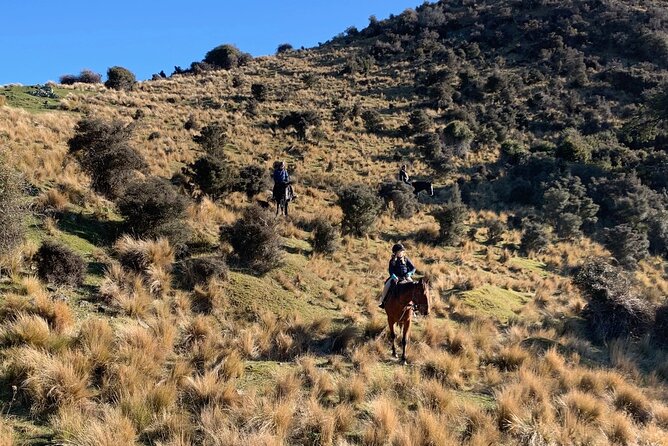 Rubicon Valley Horse Treks - 2 Hour River Trail Horse Trek - Otarama Lookout and the Waimakariri Canyon