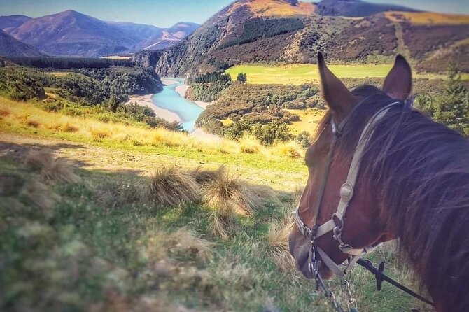 Rubicon Valley Horse Treks - 2 Hour River Trail Horse Trek - The Horses and Chris’s Guiding Style