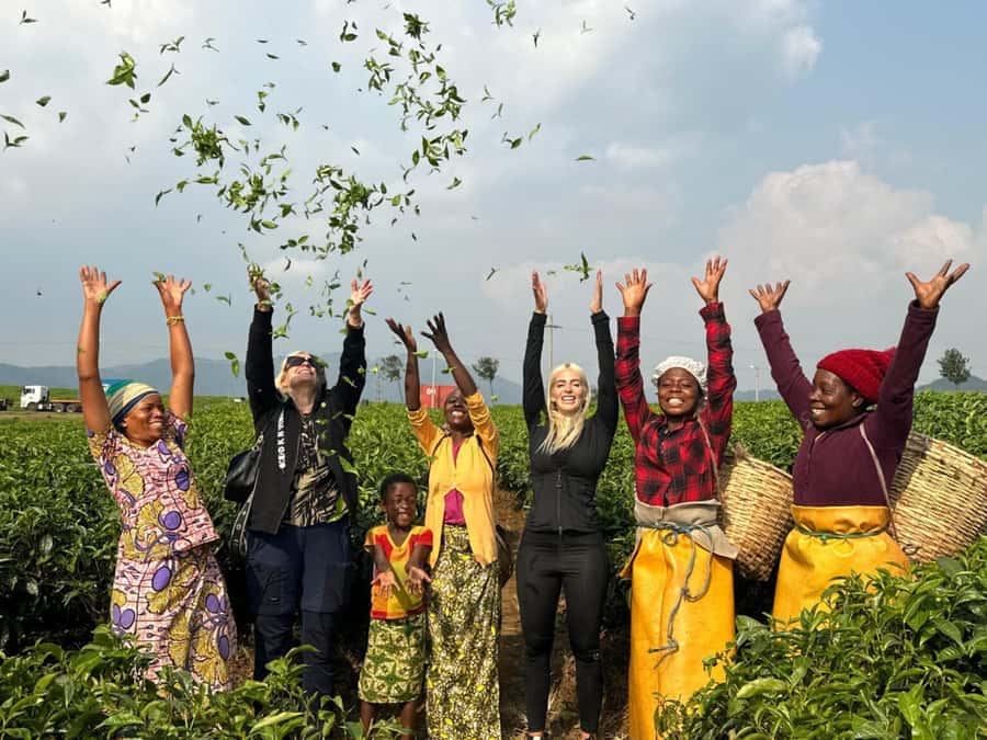 Rwanda: 3-Day Chimpanzee Trekking, Canopy, and Lake Kivu … - Key points to know before you book
