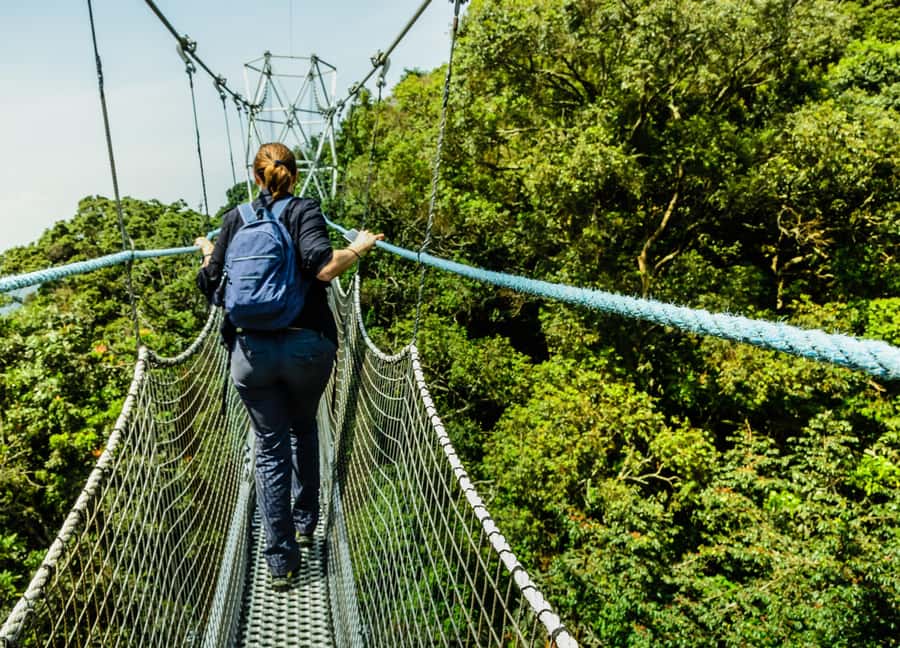 Rwanda: 3-Day Chimpanzee Trekking, Canopy, and Lake Kivu … - Day 2: Chimpanzees, tea, and the road to Lake Kivu