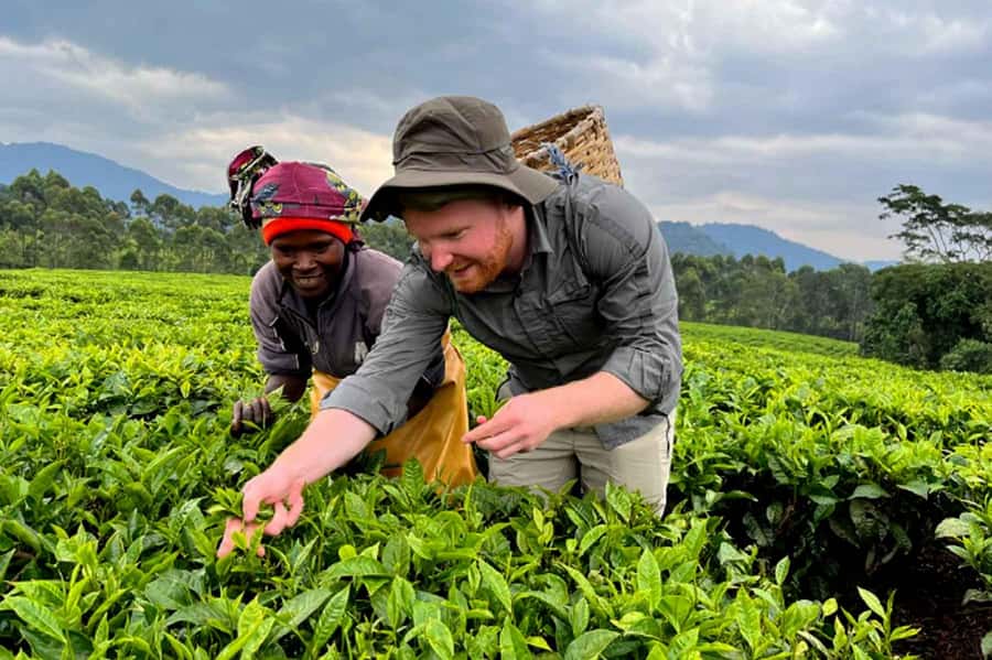 Rwanda: 3-Day Chimpanzee Trekking, Canopy, and Lake Kivu … - Should you book the Nyungwe and Lake Kivu trip?