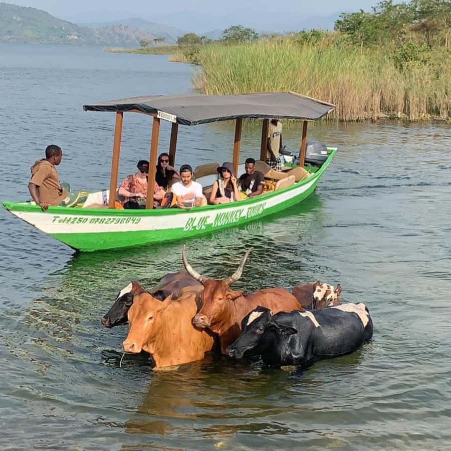 Rwanda: 3-Day Chimpanzee Trekking, Canopy, and Lake Kivu … - FAQ