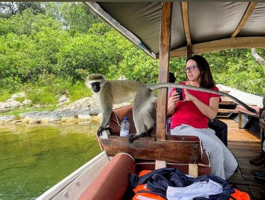 Rwanda: 3-Day Chimpanzee Trekking, Canopy, and Lake Kivu … - Day 1: Kigali to Nyungwe and the forest canopy