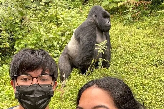 Rwanda One Day Gorilla Trekking with Iby’iwacu Culture Visit - Key points at a glance