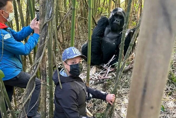Rwanda One Day Gorilla Trekking with Iby’iwacu Culture Visit - Iby’iwacu Culture Village after the forest