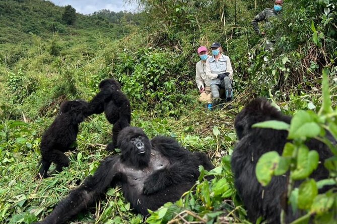 Rwanda One Day Gorilla Trekking with Iby’iwacu Culture Visit - Guides, service, and what to confirm