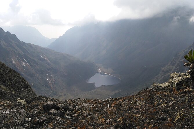 Rwenzori Mountains Trekking with Margherita Peak Summit - Day 7: Returning through bamboo to Mihunga Gate