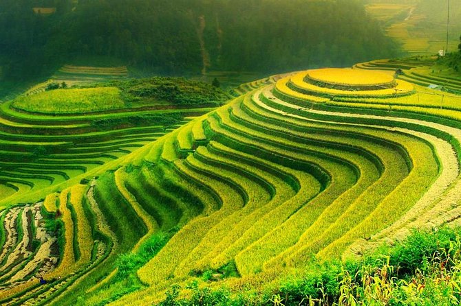 Sa Pa 2-Day Moderate Trek and Homestay Limousine Tour from Hanoi - Ta Van village and the first afternoon