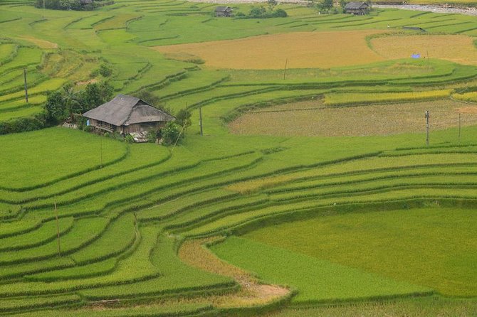 Sa Pa 2-Day Moderate Trek and Homestay Limousine Tour from Hanoi - The guide and the small-group format