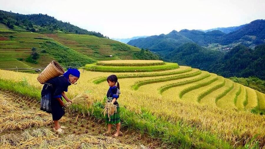 Sa Pa: 6-Hours Muong Hoa Valley Trek with Local Ethnic guide - The opening walk to Y Linh Ho