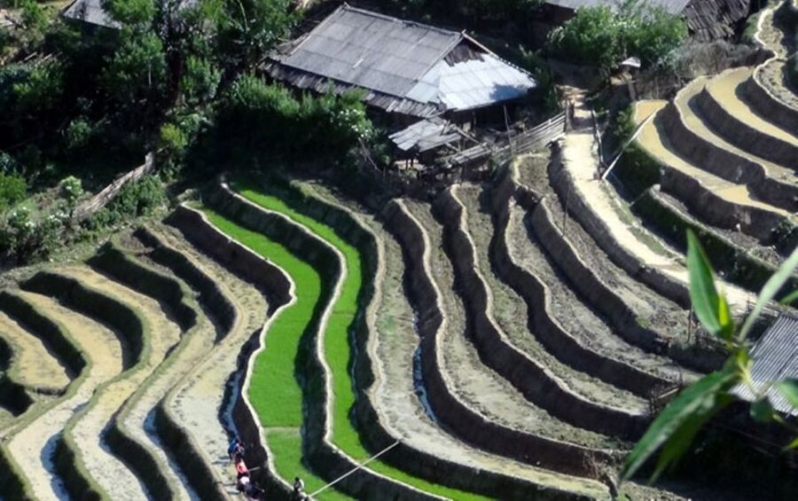 Sa Pa: 6-Hours Muong Hoa Valley Trek with Local Ethnic guide - Bamboo paths and the walk to Ta Van