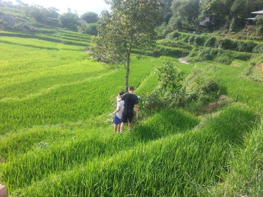 Sa Pa: 6-Hours Muong Hoa Valley Trek with Local Ethnic guide - What the local guides add