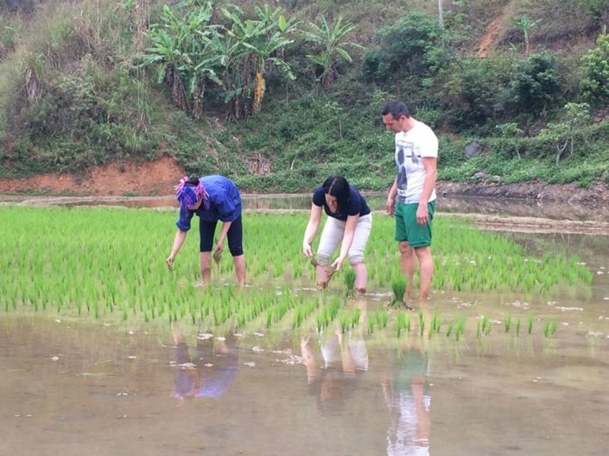 Sa Pa: 6-Hours Muong Hoa Valley Trek with Local Ethnic guide - Lao Chai and the finest terrace views
