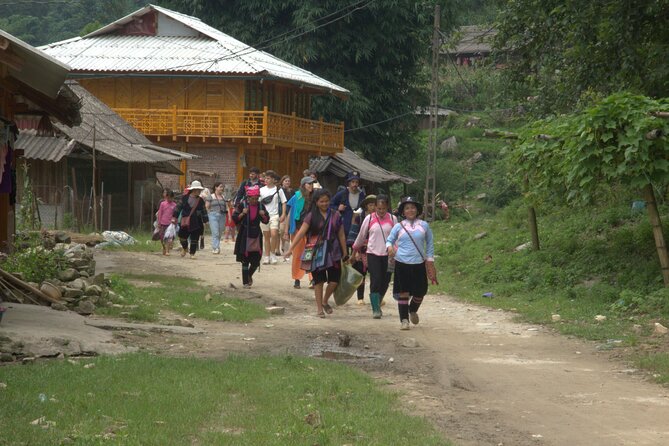 Sa Pa Full Day Trekking Tour - What the guides add to the walk