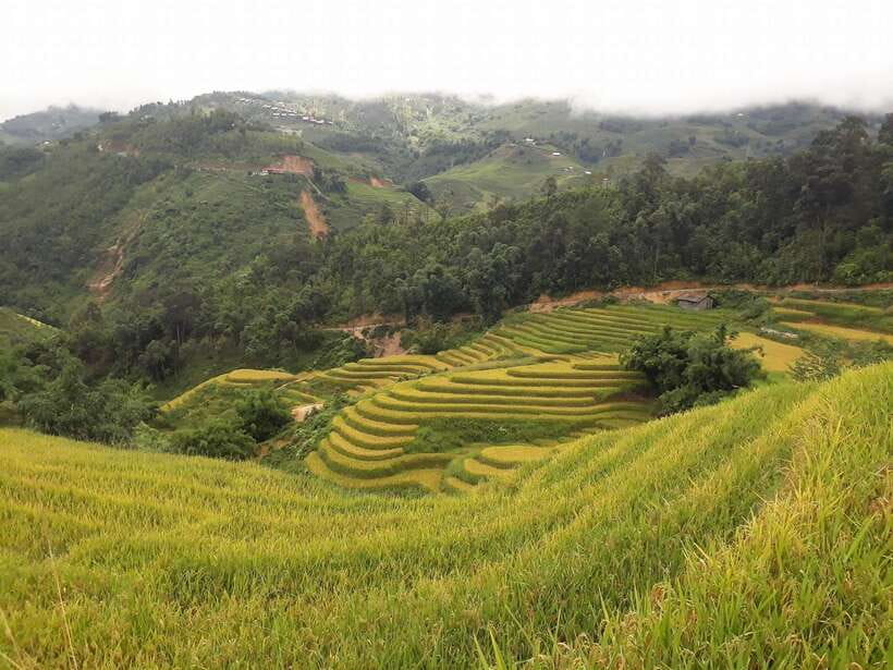 Sa Pa: Muong Hoa Valley Trek and Local Ethnic Villages - Starting in Sa Pa and following the valley trail