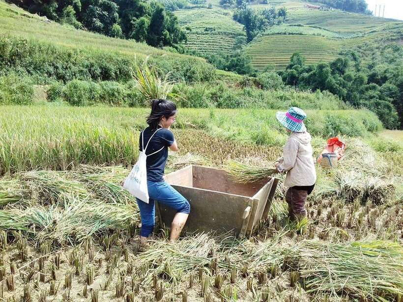 Sa Pa: Muong Hoa Valley Trek and Local Ethnic Villages - Lao Chai and the Black Hmong villages