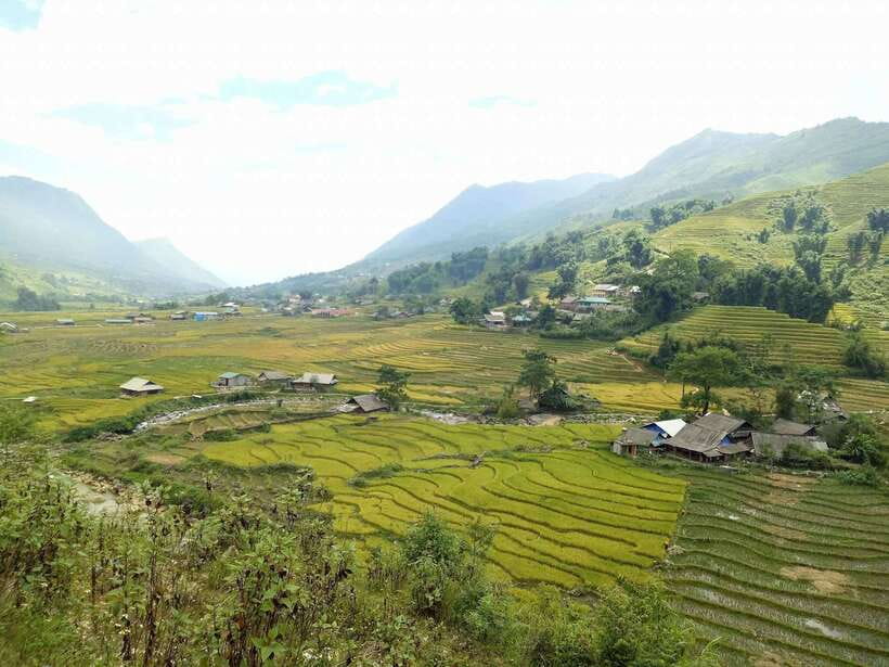 Sa Pa: Muong Hoa Valley Trek and Local Ethnic Villages - Bamboo forest and the Red Dao village