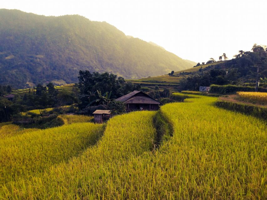 Sa Pa: Muong Hoa Valley Trek and Local Ethnic Villages - Weather, seasons, and what to pack