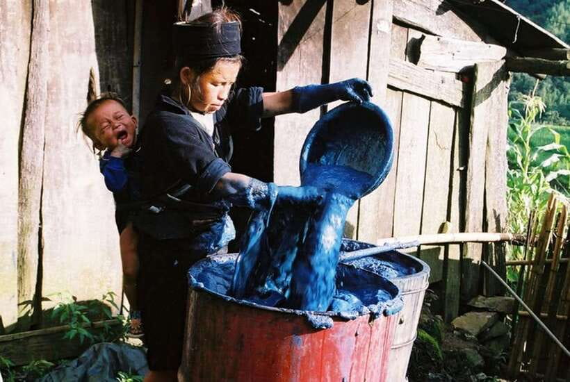 Sa Pa: Muong Hoa Valley Trek and Local Ethnic Villages - What the $23 price really gets you