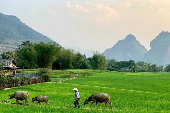 Sa Pa Trekking 2 Days 3 Nights Homestay by Night Train - Why this Sa Pa trip feels different from a town tour