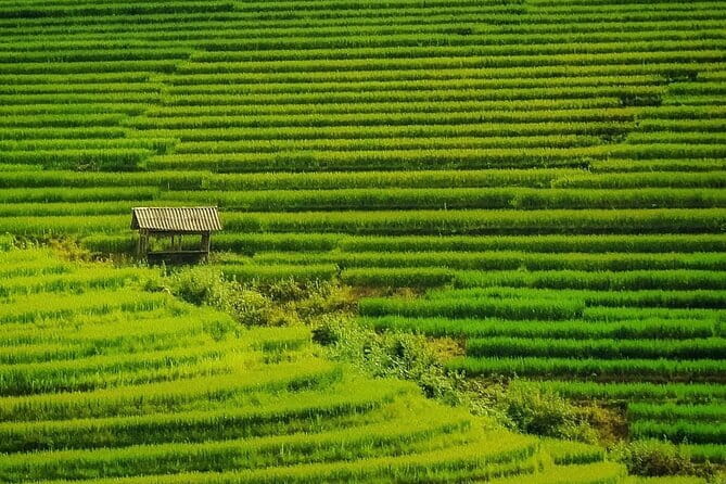 Sa Pa Trekking 2 Days 3 Nights Homestay by Night Train - Leaving Hanoi by night train