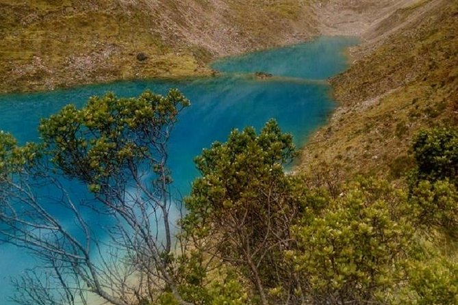 Salkantay Trek: 5 Days to Machu Picchu - Guides, food, and camp support