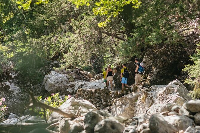 Samaria Gorge Trek Full Day Tour from Georgioupoli with Guide - Pickup from Georgioupoli and the road to Omalos