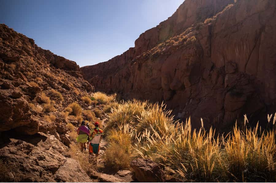 San Pedro de Atacama: Canyon Swimming Pools Trekking Trip - Finding the Purilibre natural pools